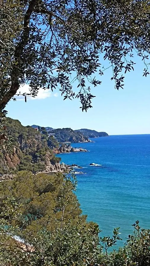 Daro Apartments Platja d'Aro  0*,